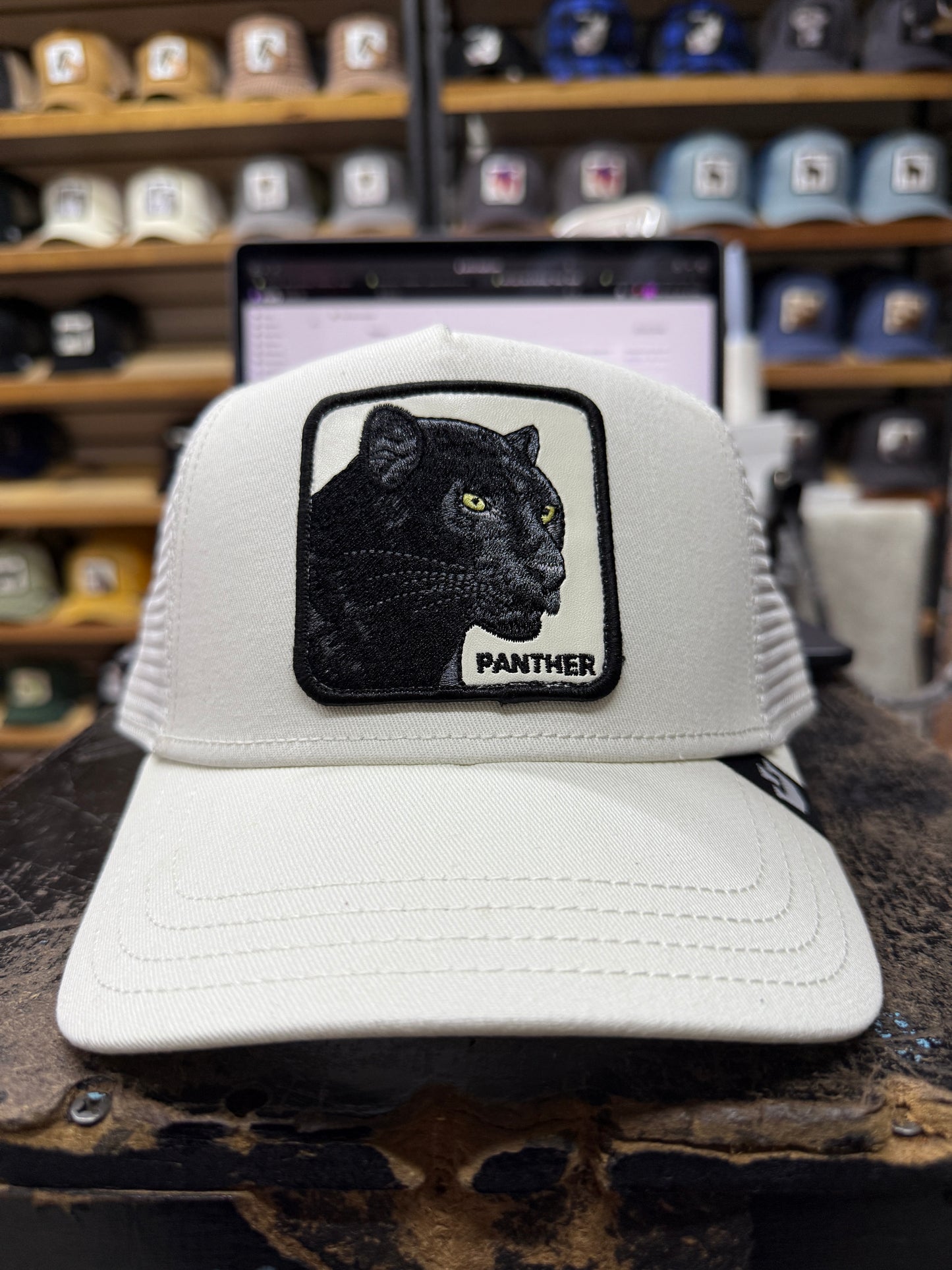 panther white