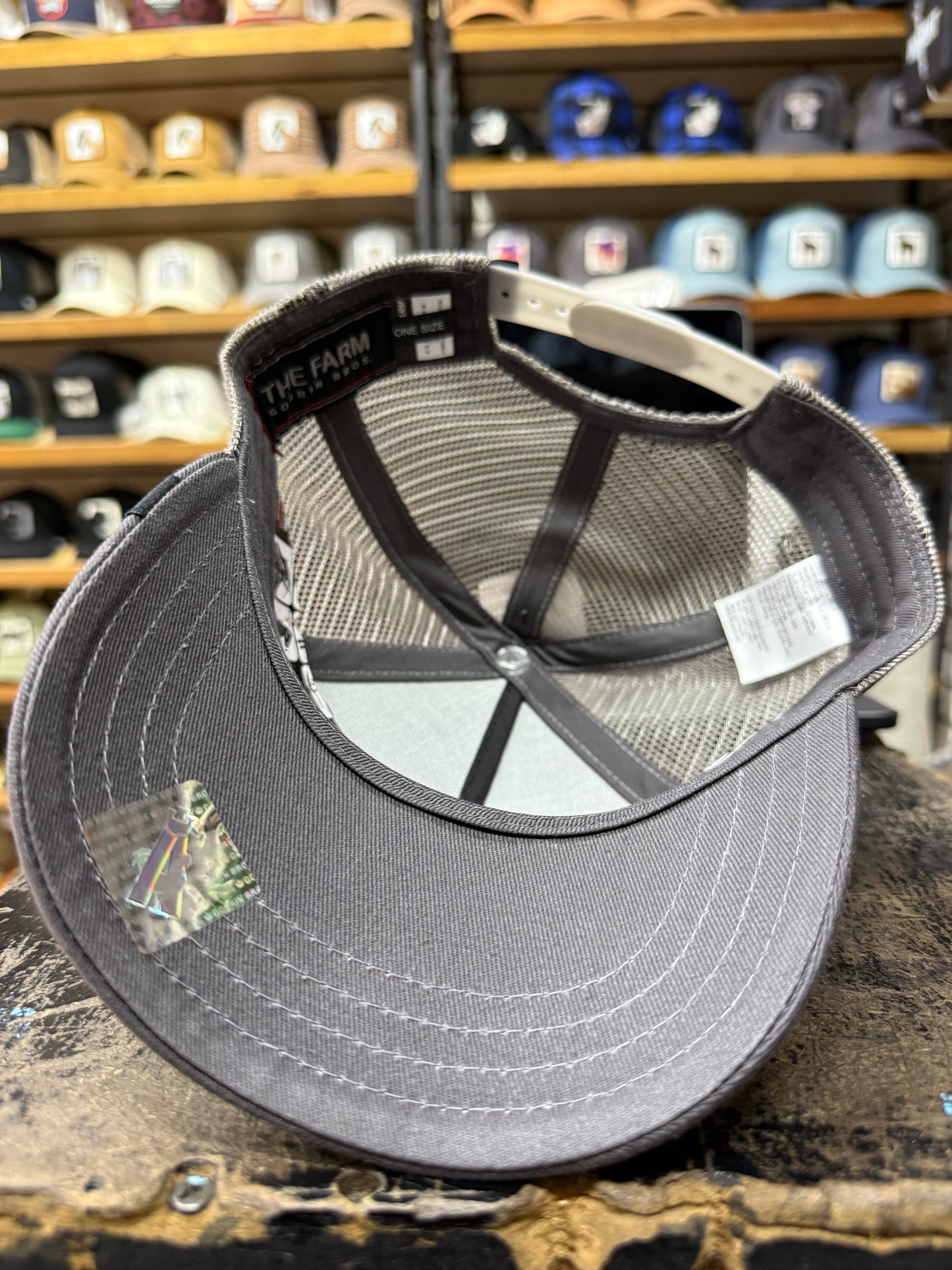 BLACK SHEEP GRIS