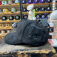 DREAMER HATS
