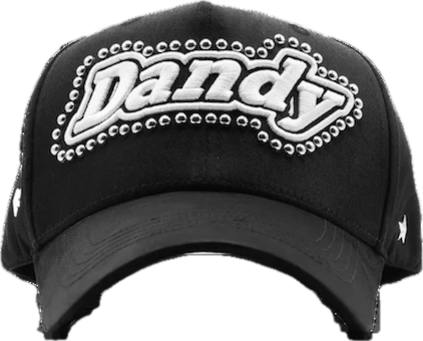 Dandy perlas Aniversity