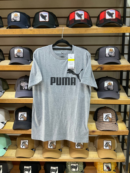Puma gris