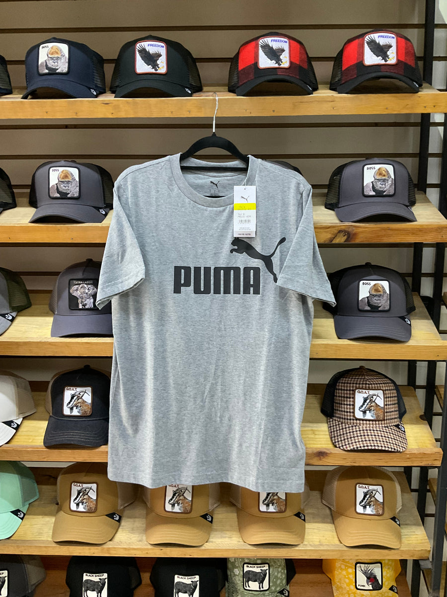 Puma gris