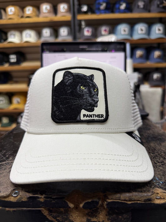 panther white