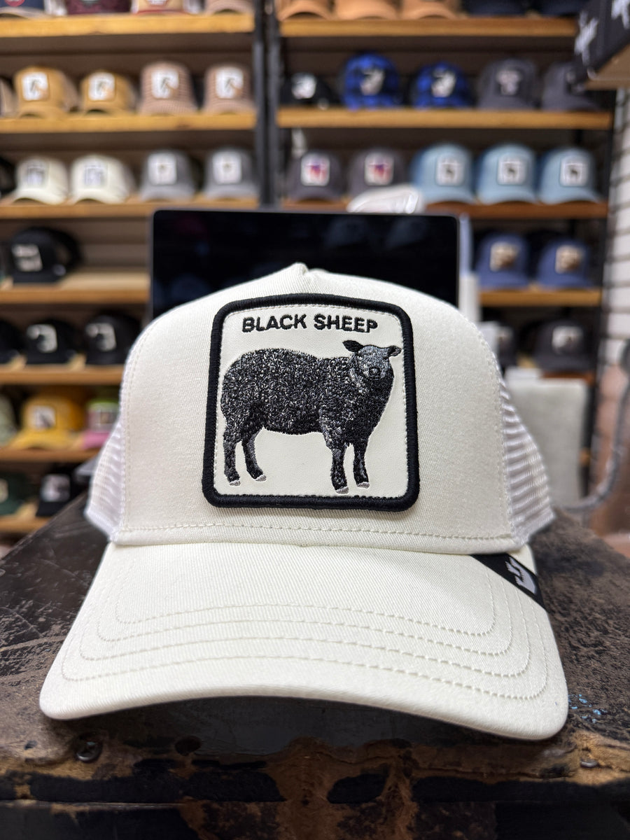 BLACK SHEEP BLANCA