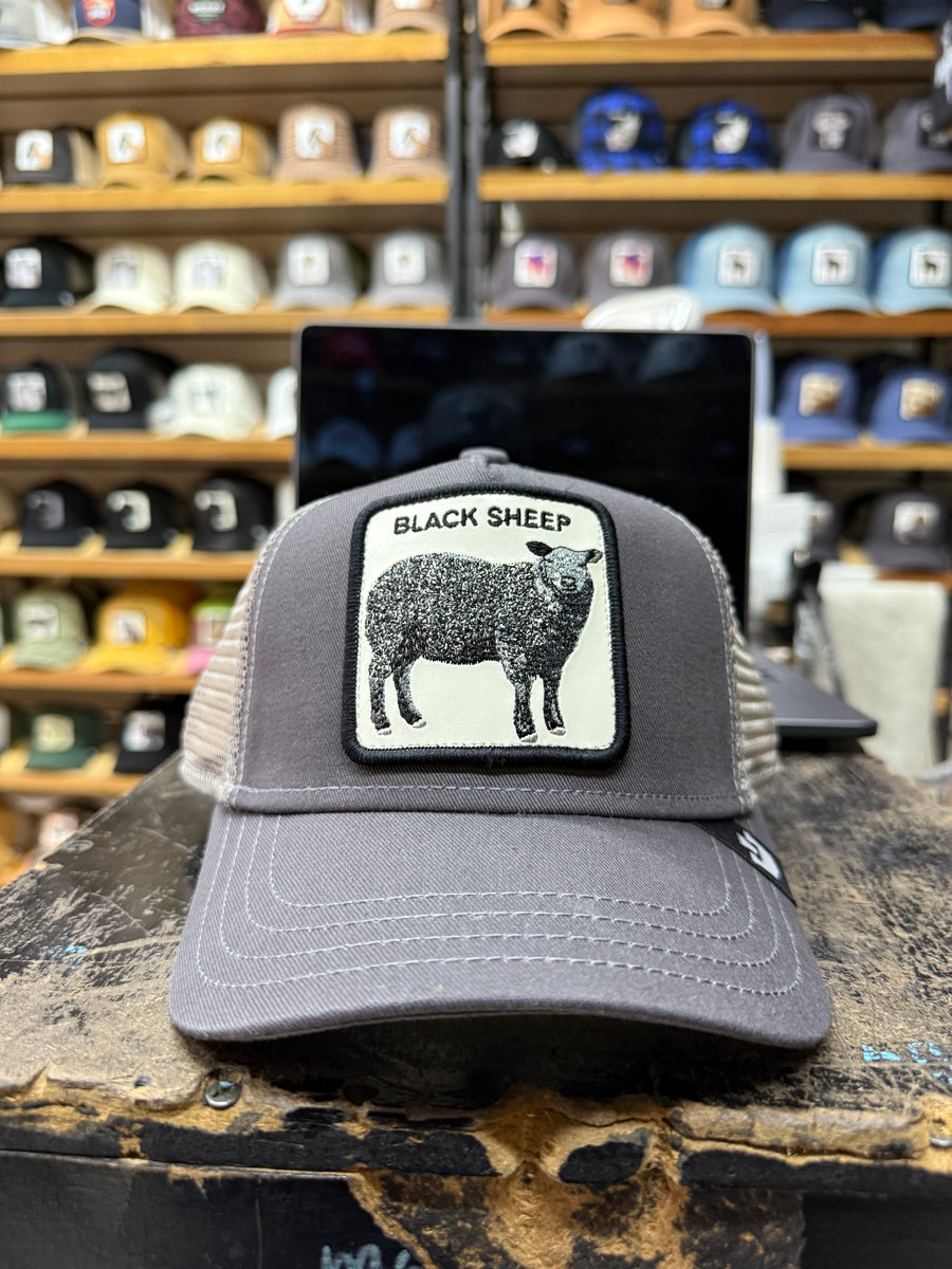 BLACK SHEEP GRIS