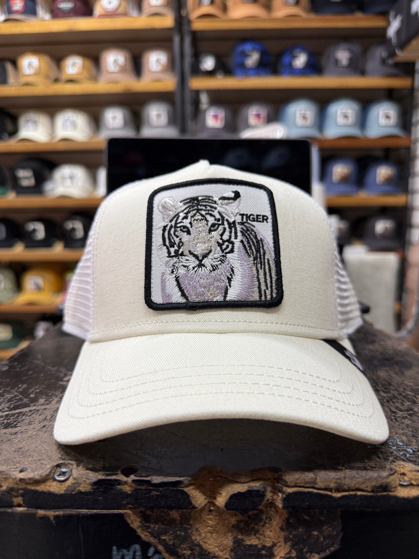 TIGER HUESO