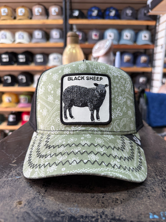 BLACK SHEEP VERDE