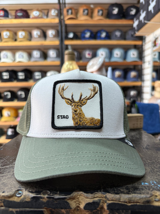 STAG VERDE / BLANCO