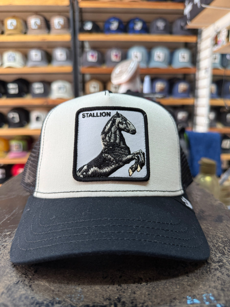 STALLION NEGRO / BLANCO