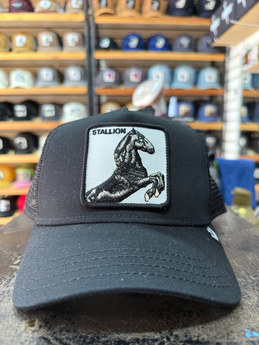 STALLION CABALLO NEGRA