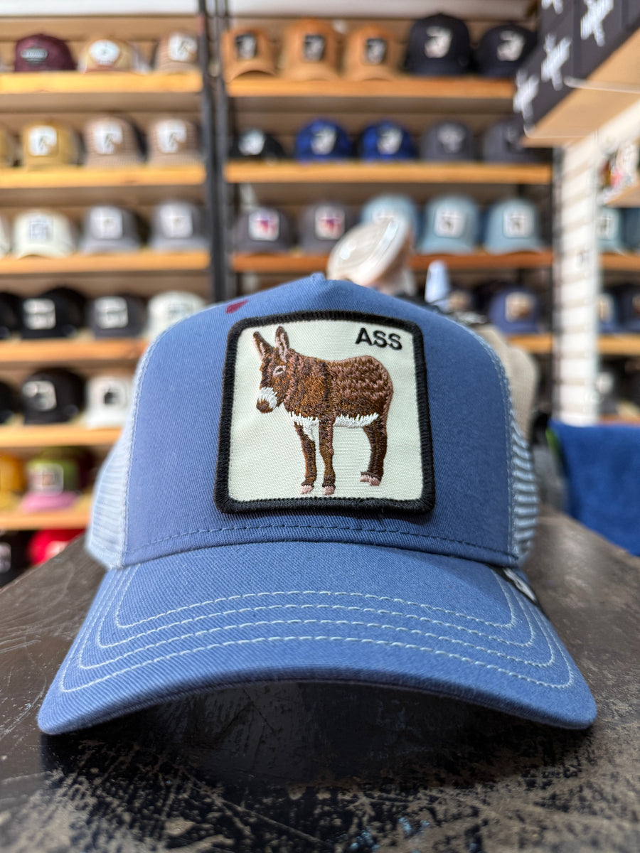 ASS BURRO AZUL