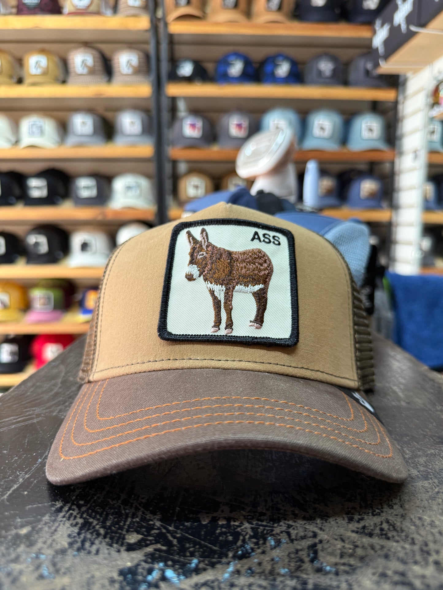 ASS BURRO CAFE