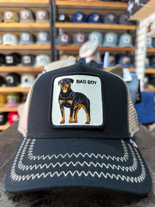 BAD BOY NEGRA