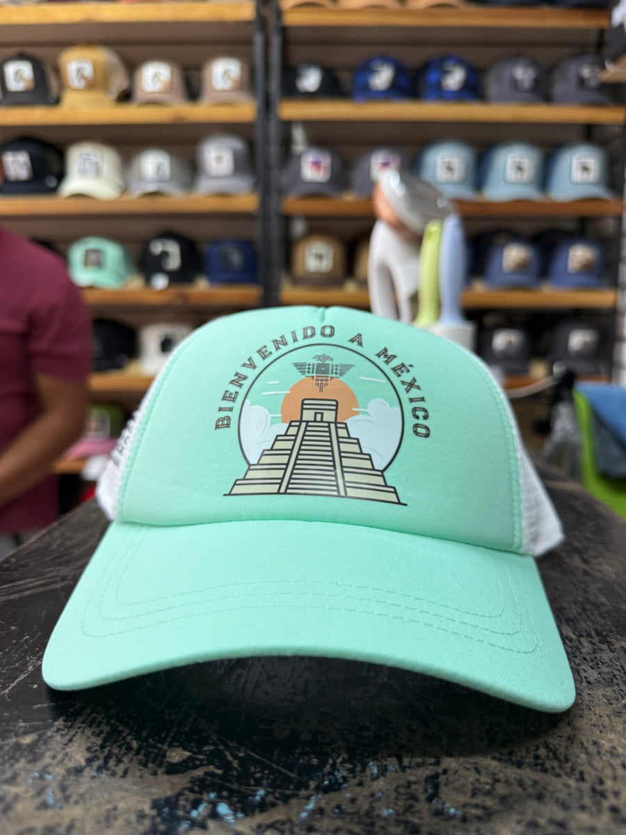 FORMULA ONE 2023 MENTA