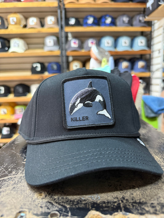 KILLER WHALE NEGRO