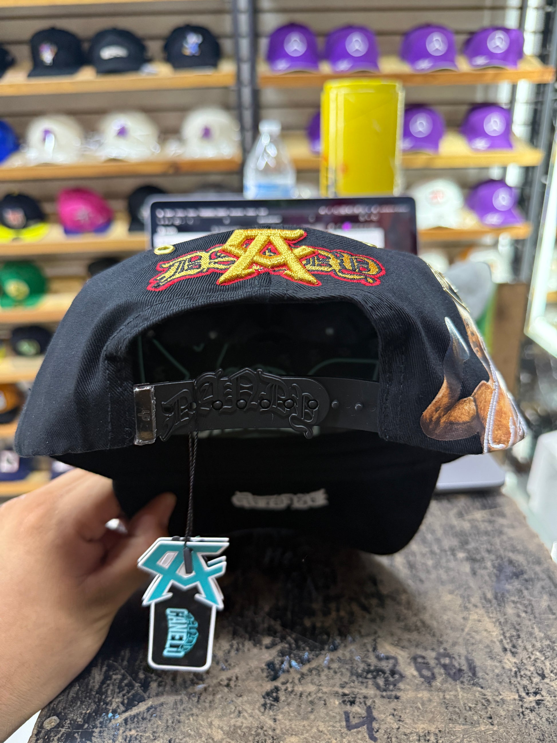 dandy canelo champion