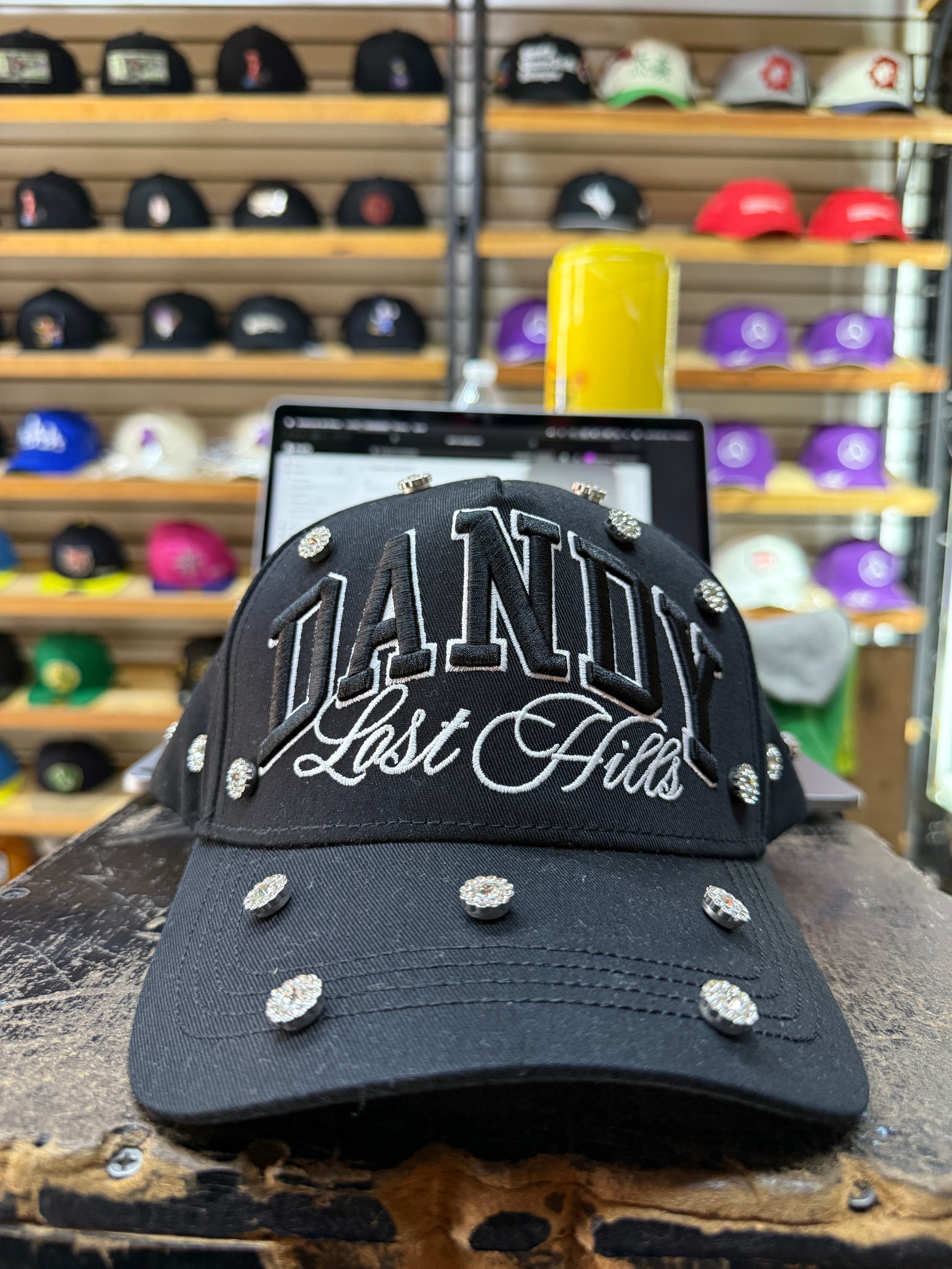 dandy lost hils brillos