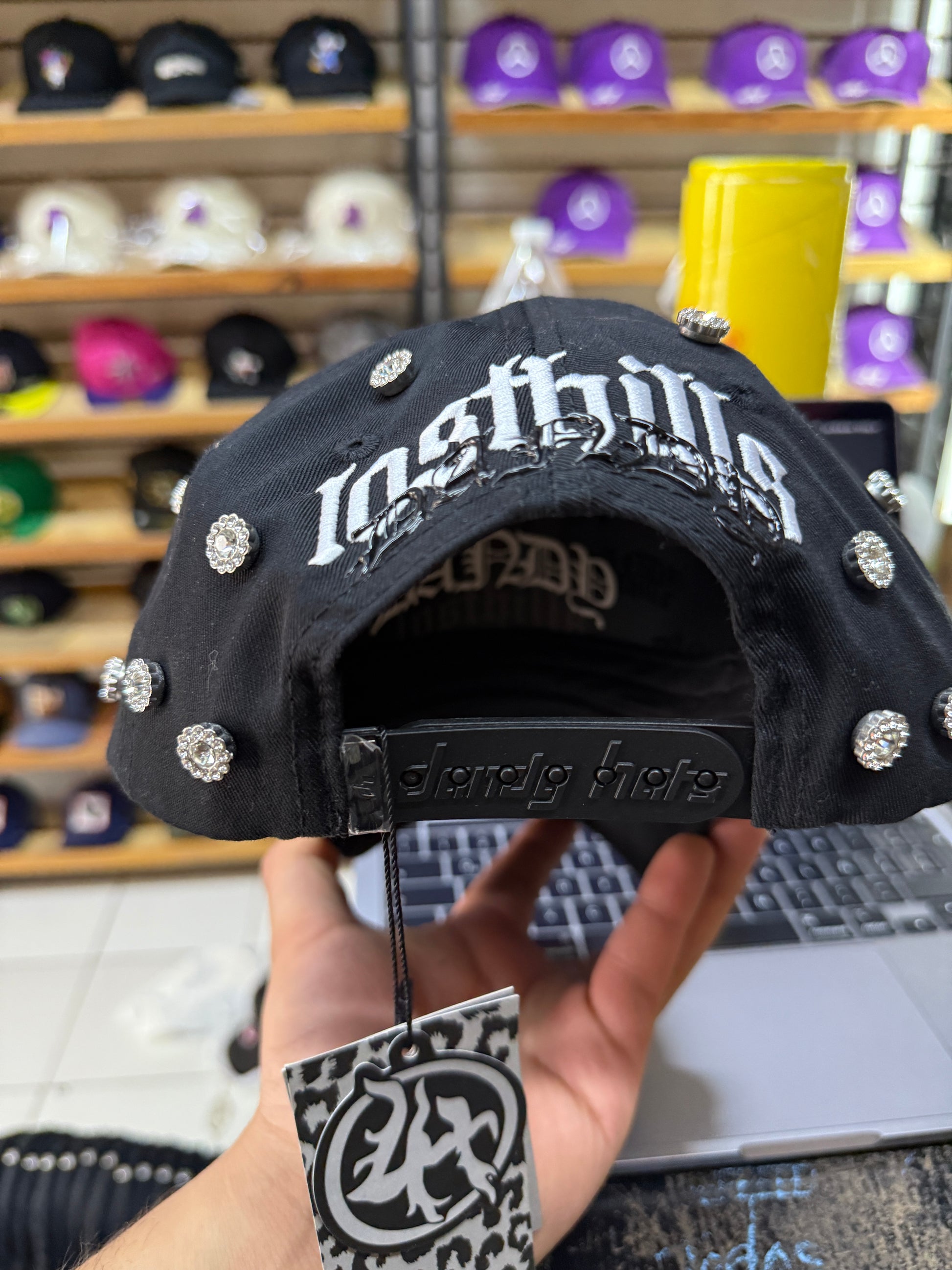 dandy lost hils brillos