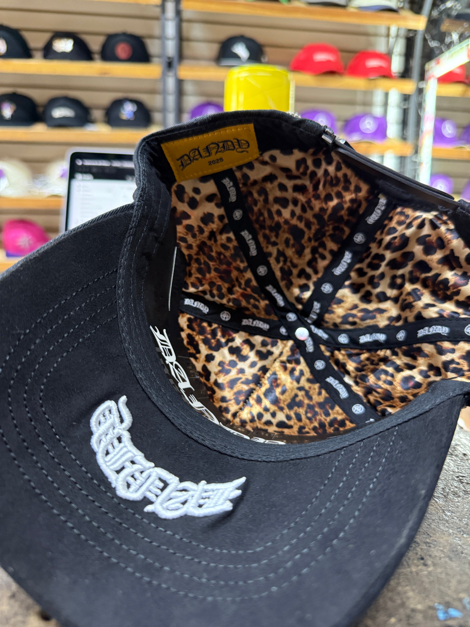 dandy lost hils brillos