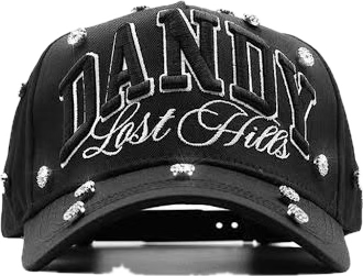 dandy lost hils brillos